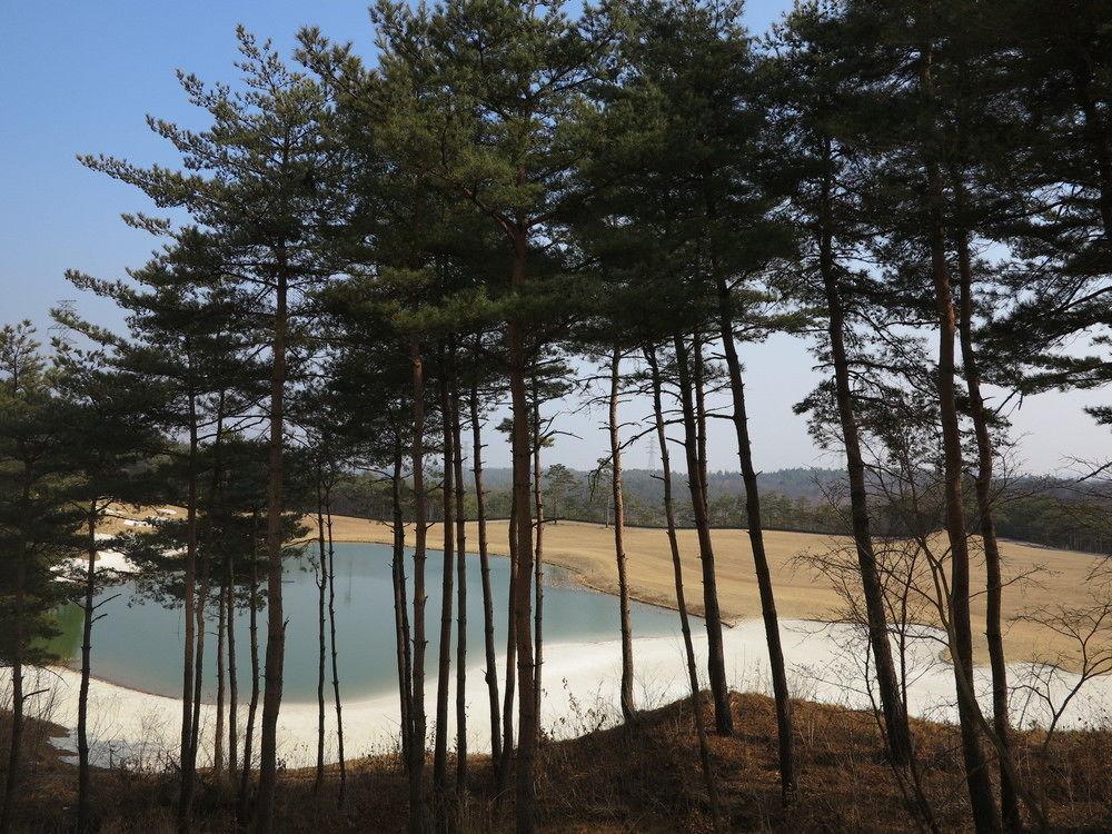 Pineridge Hotel Sokcho Luaran gambar
